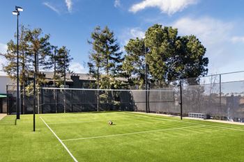 Volleyball court